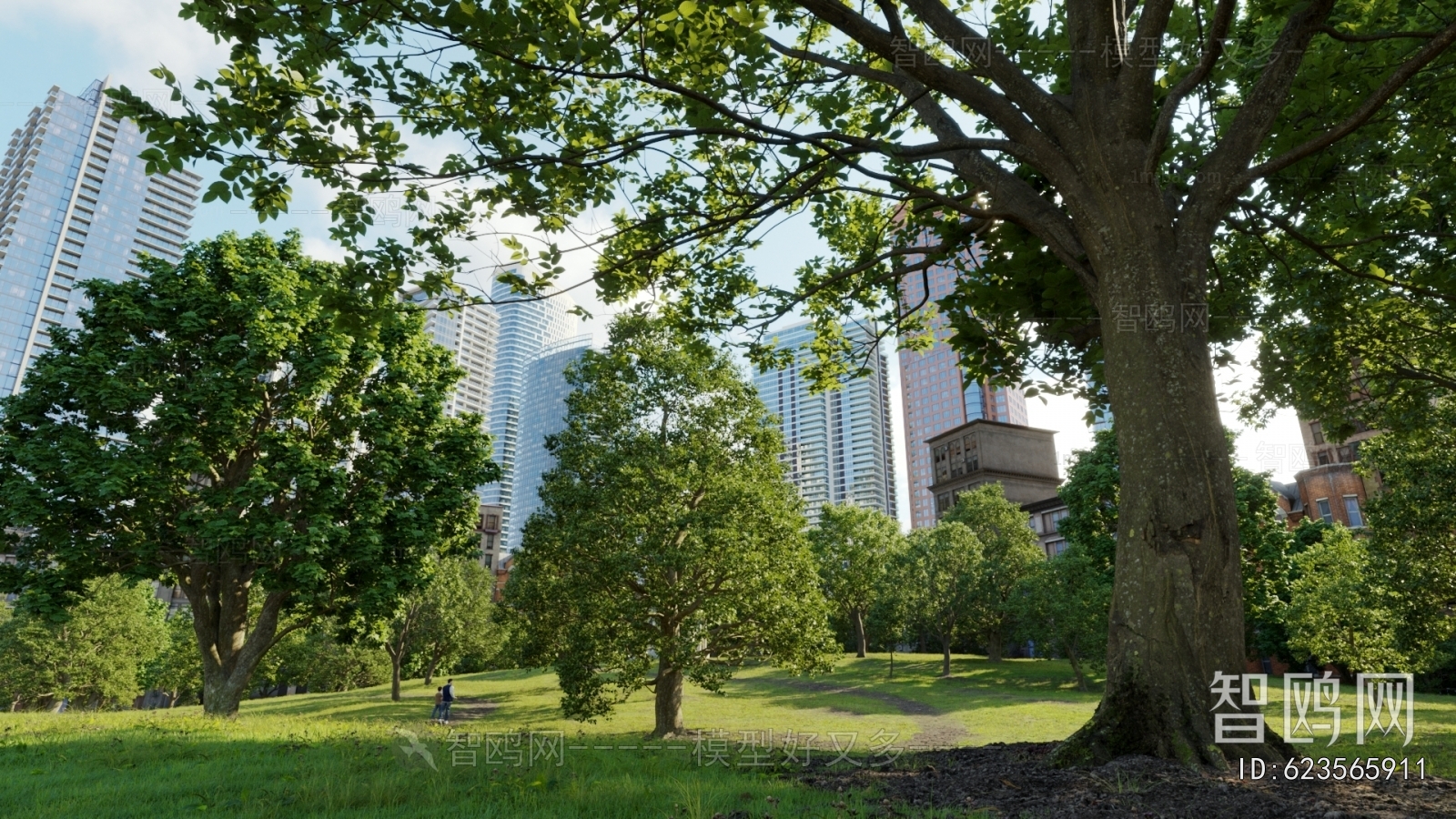 Modern Park Landscape