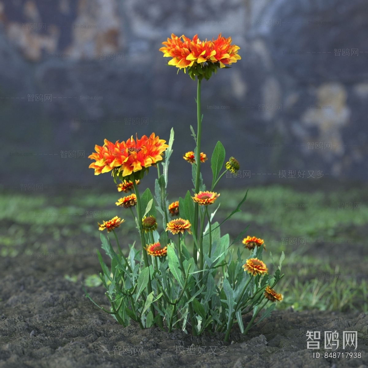 Modern Flowers And Grass