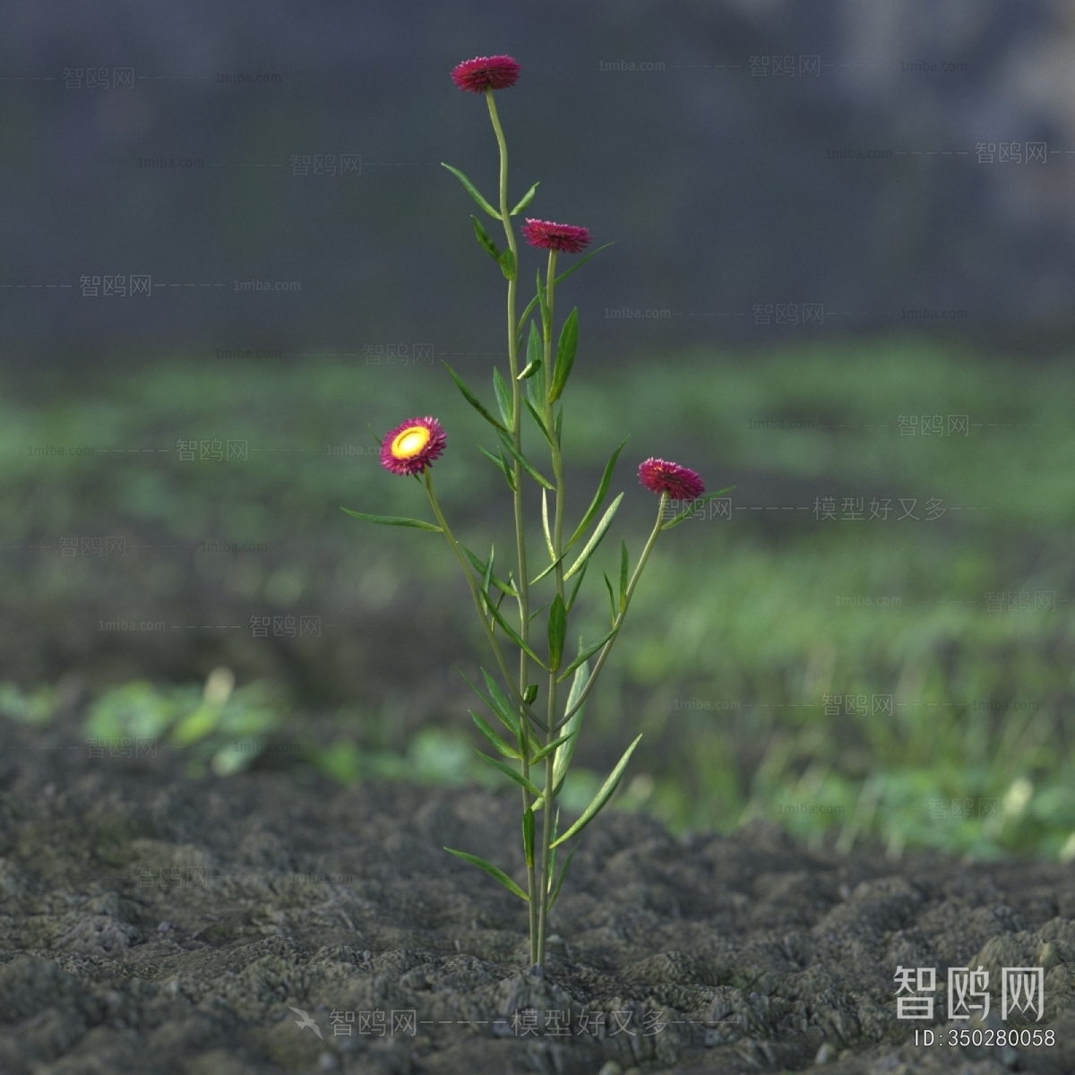 Modern Flowers And Grass