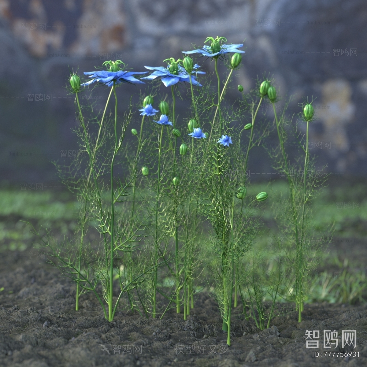 Modern Flowers And Grass