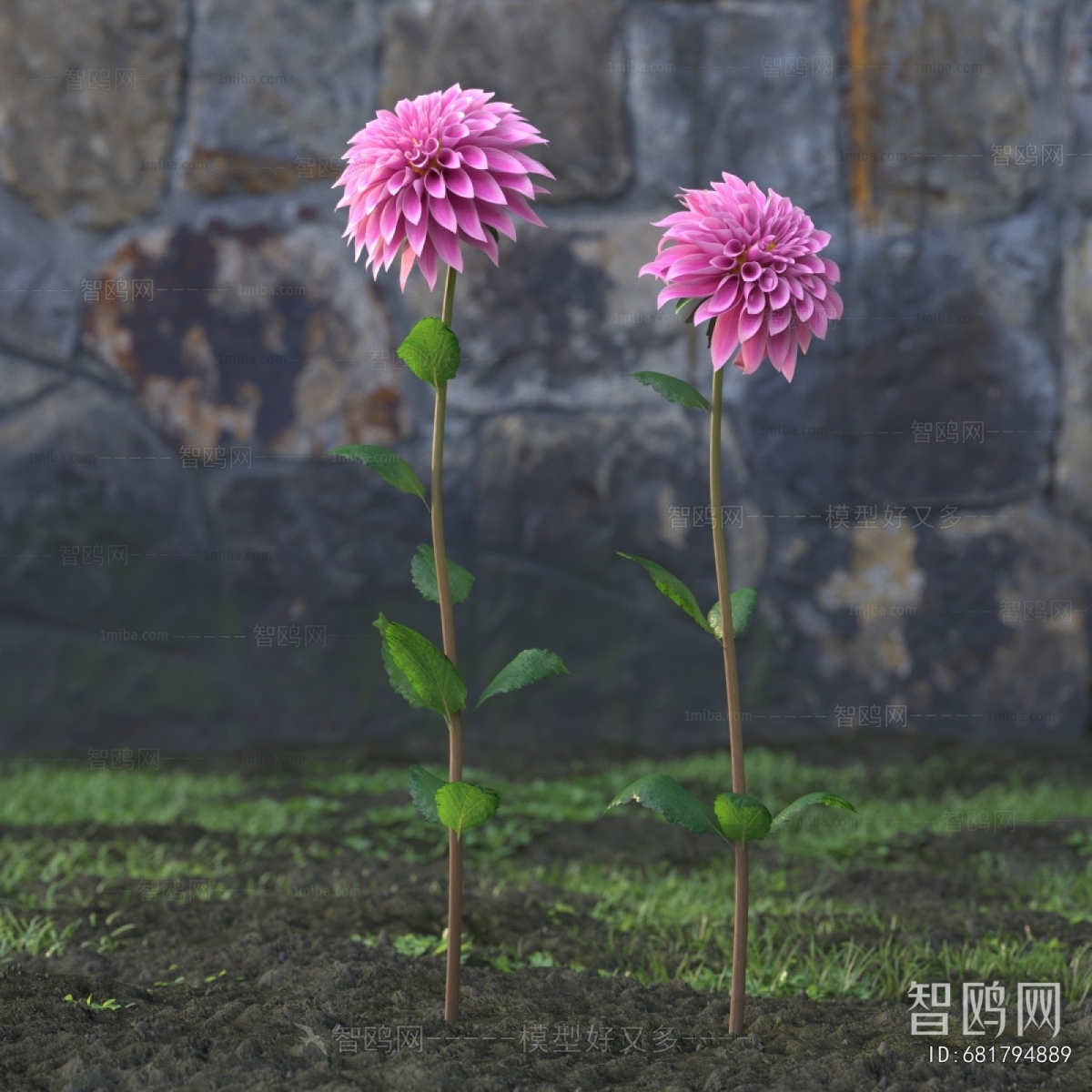 Modern Flowers And Grass