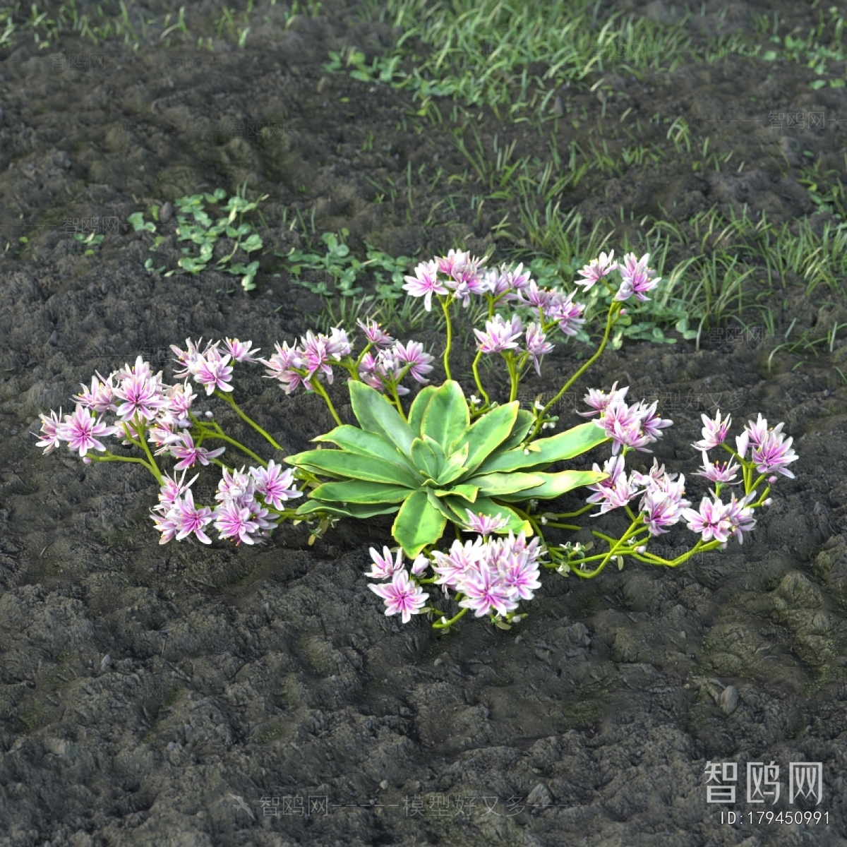 Modern Flowers And Grass