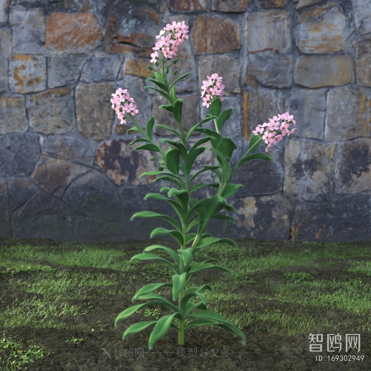 Modern Flowers And Grass