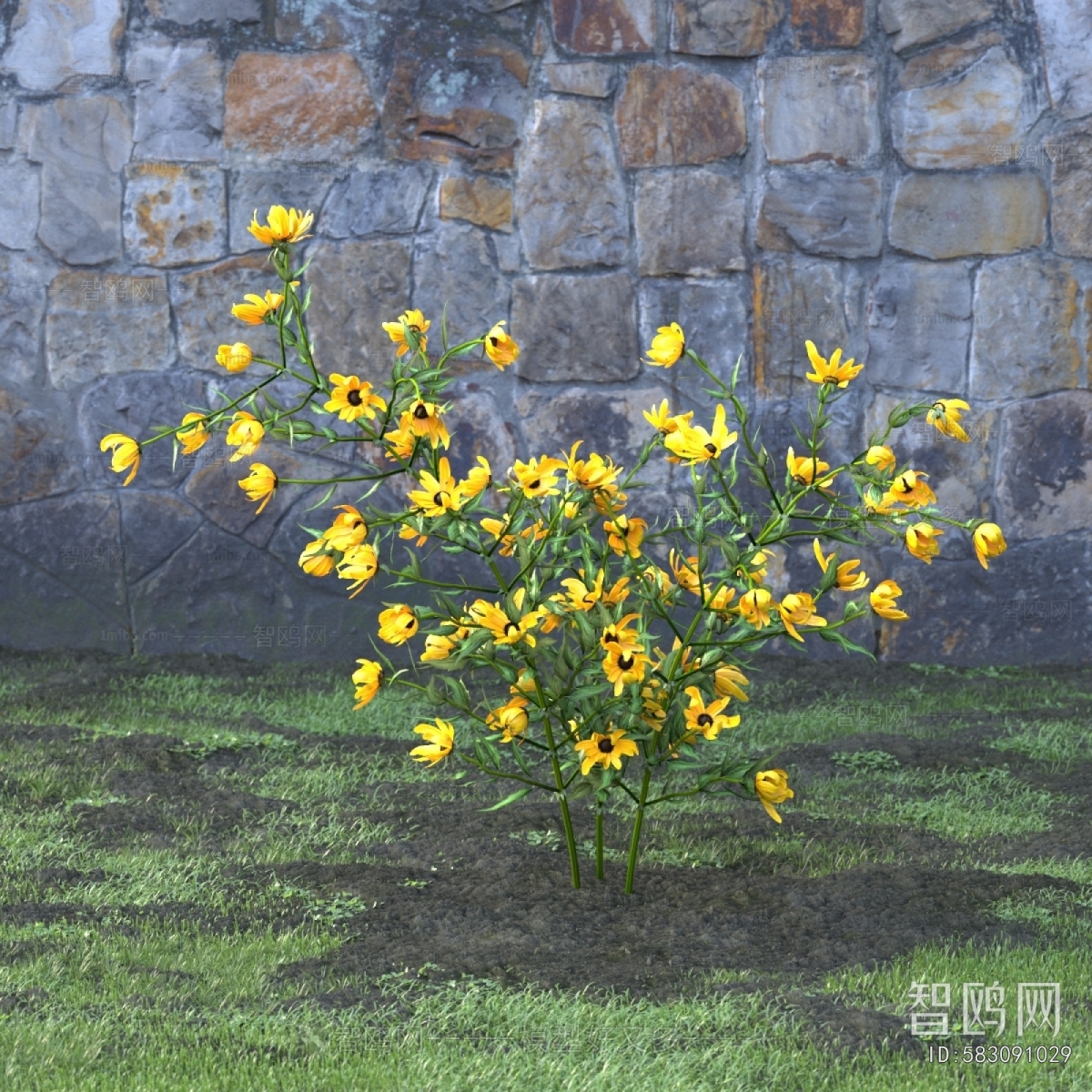 Modern Flowers And Grass