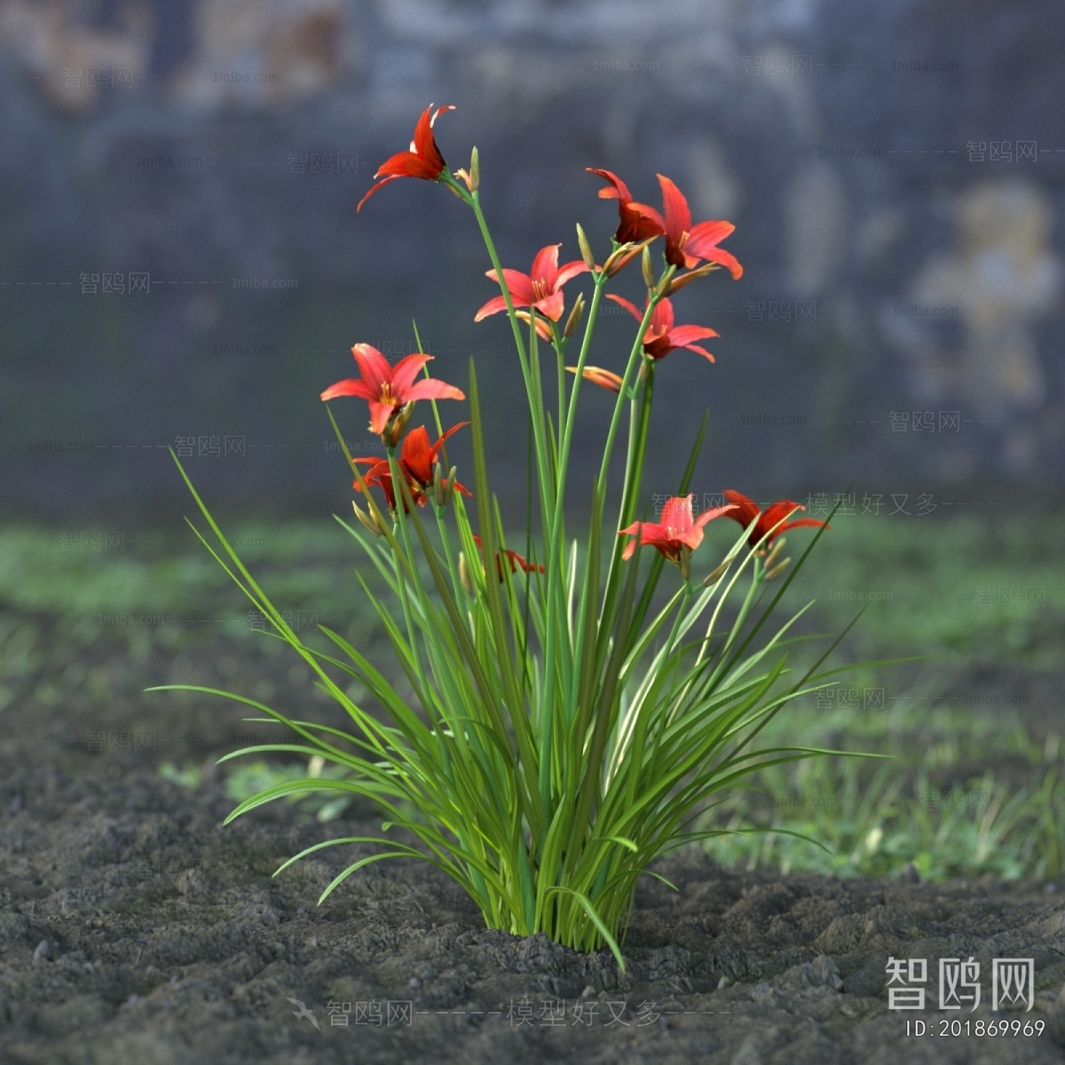Modern Flowers And Grass