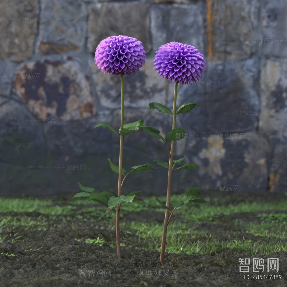 Modern Flowers And Grass