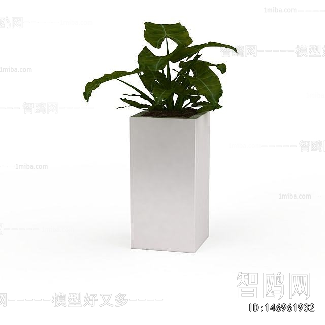 Modern Flower Bed, Flower Bowl, Flower Box