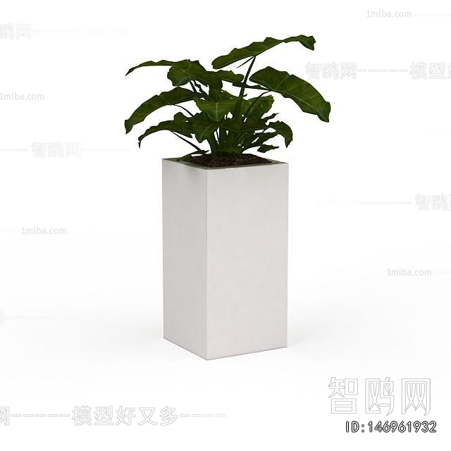 Modern Flower Bed, Flower Bowl, Flower Box