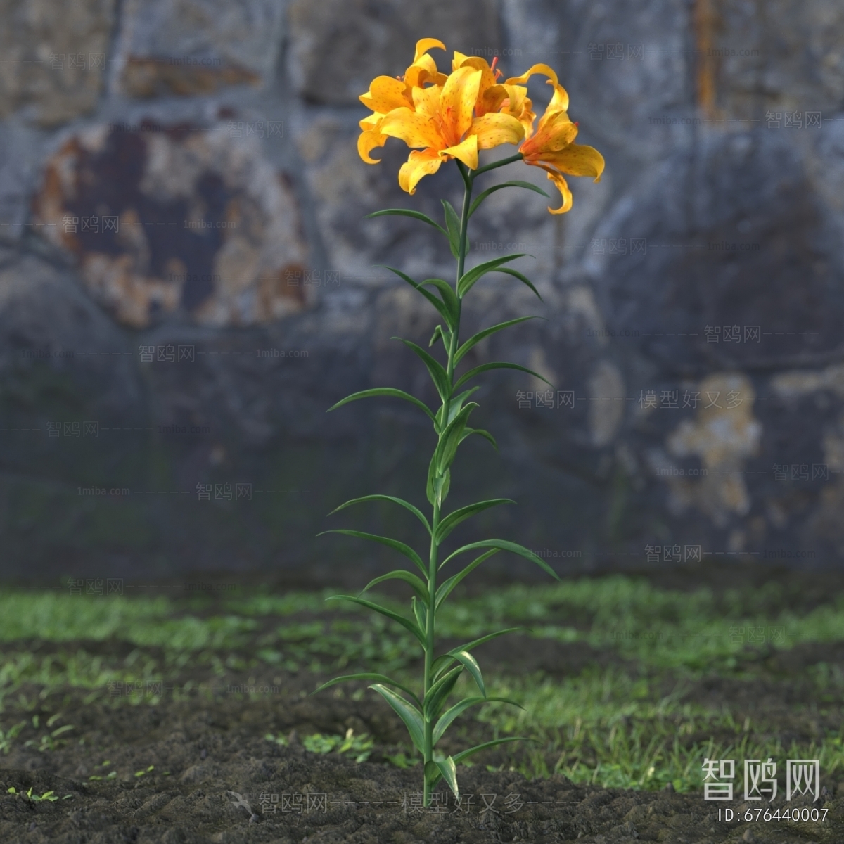 Modern Flowers And Grass