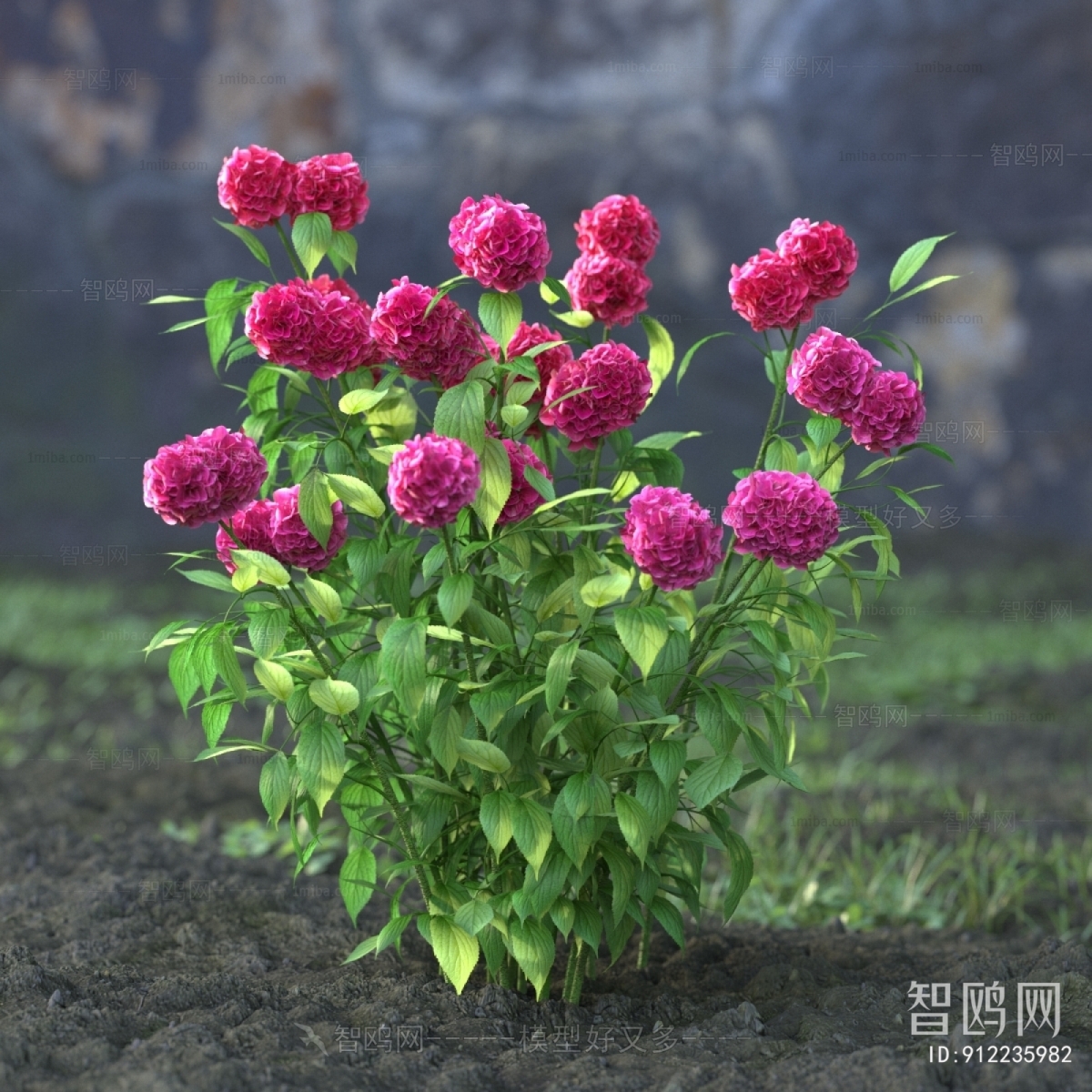 Modern Flowers And Grass