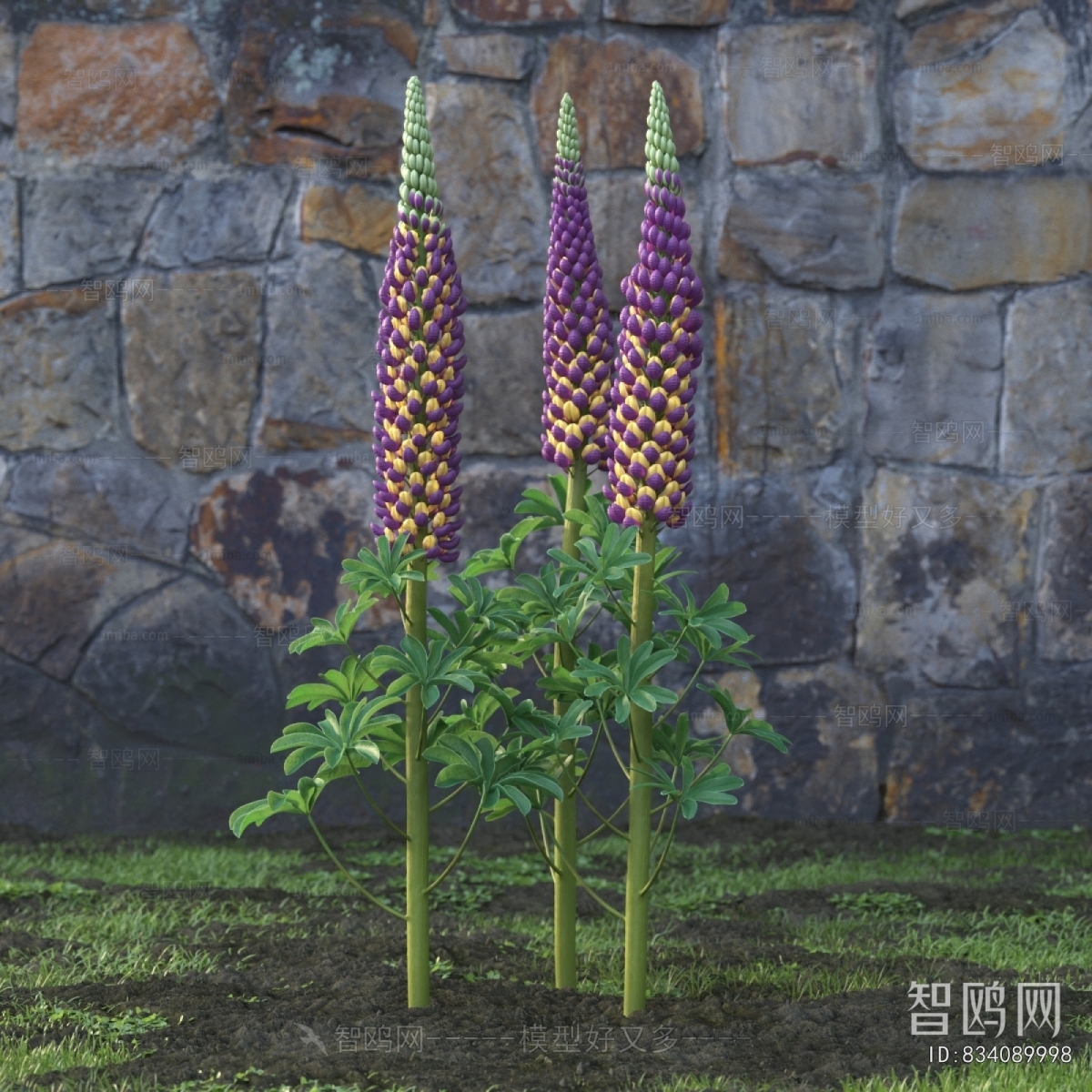 Modern Flowers And Grass