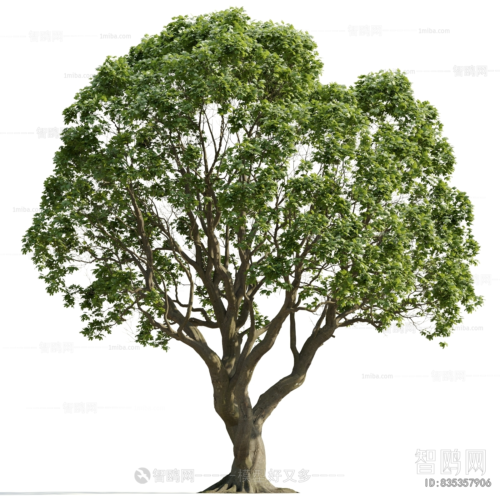 Modern Tree