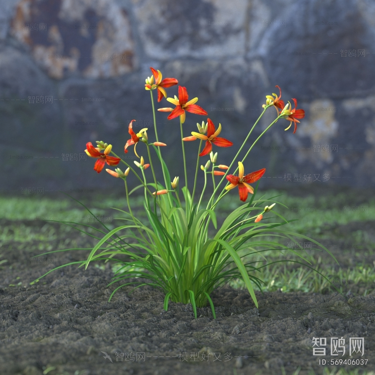 Modern Flowers And Grass