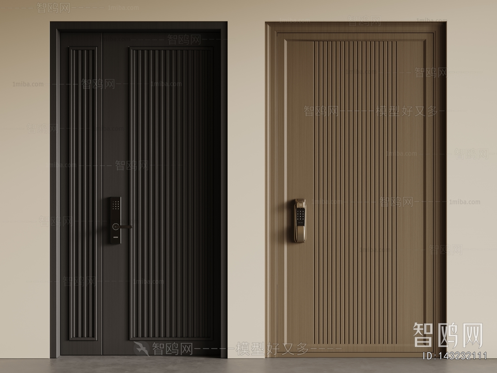 Modern Entrance Door