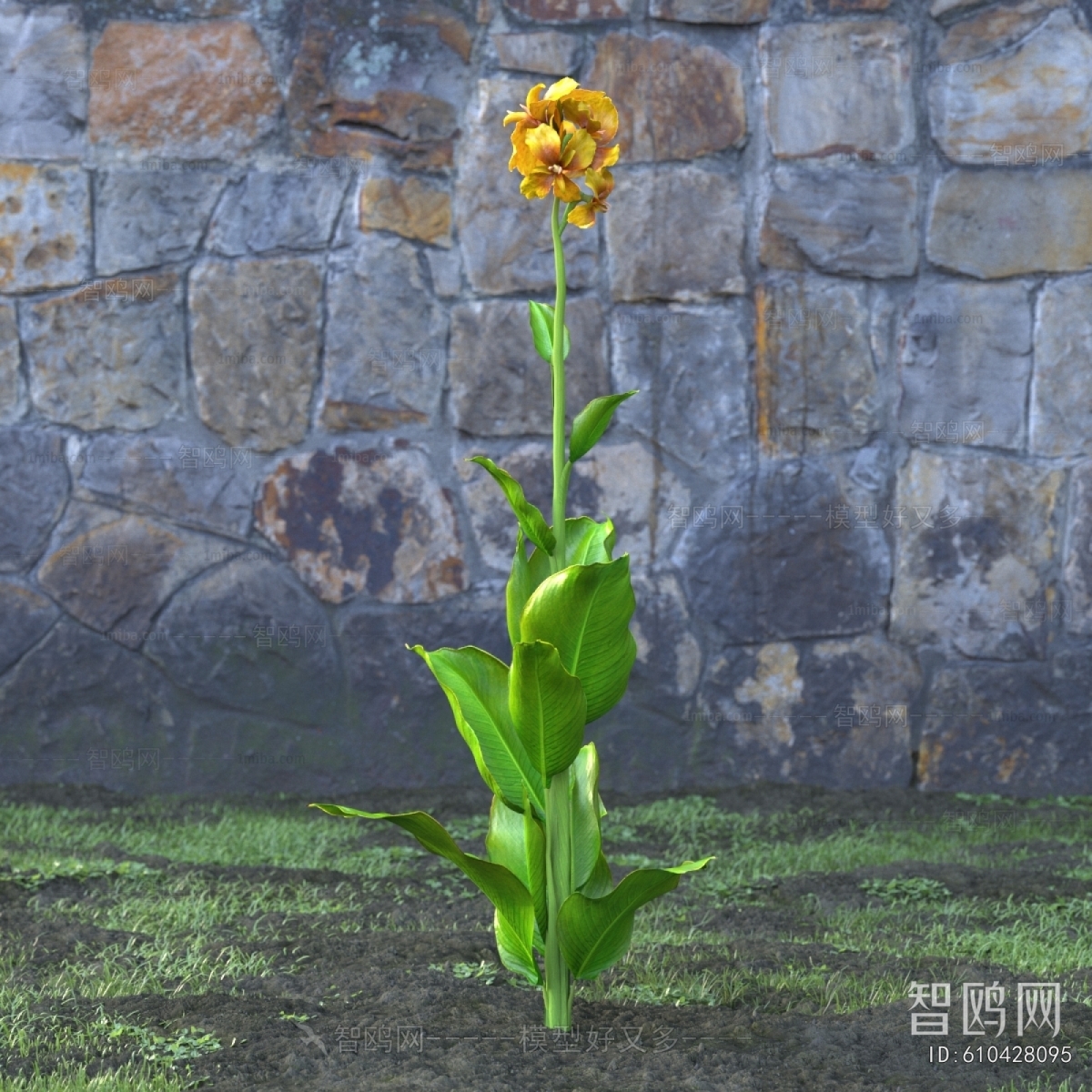 Modern Flowers And Grass