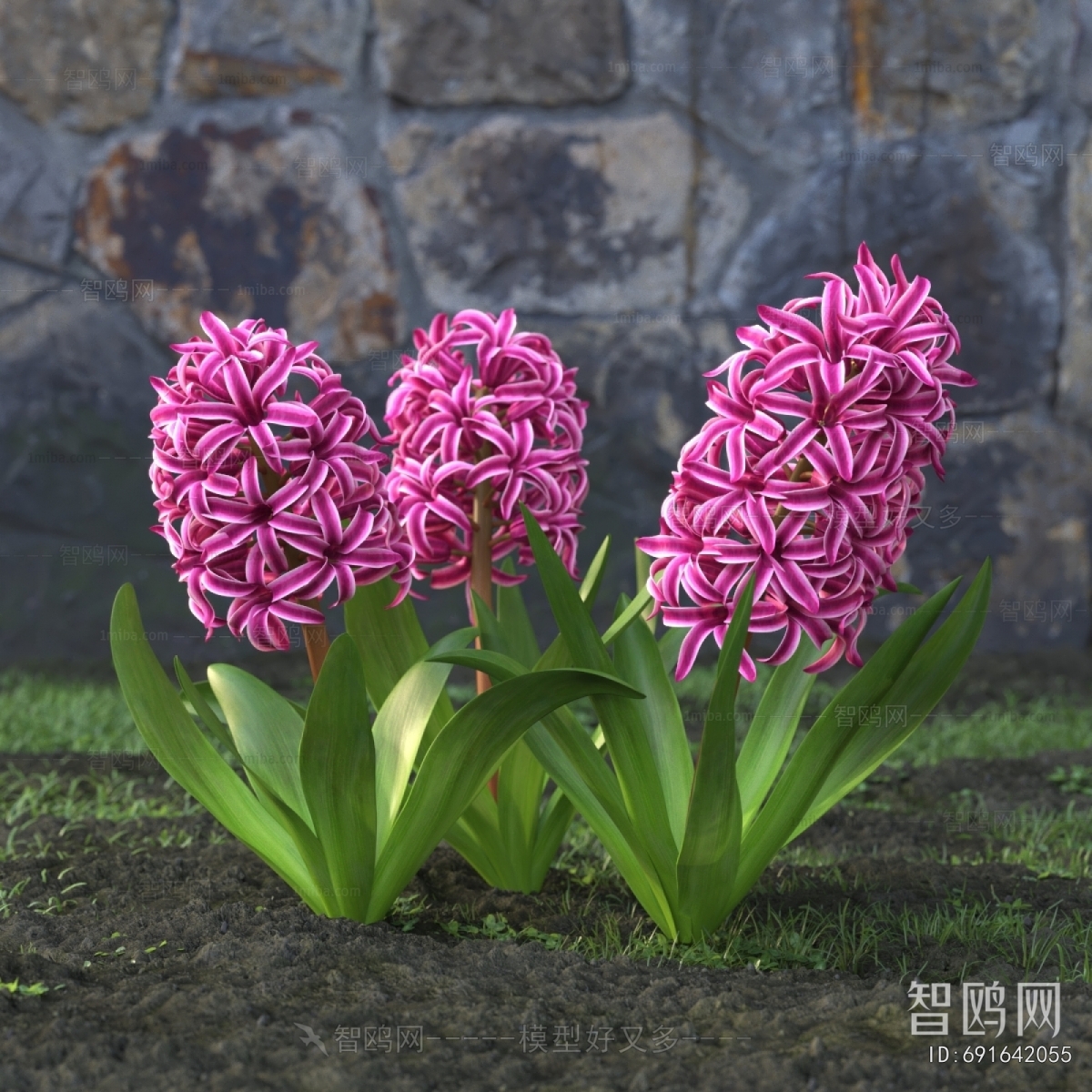 Modern Flowers And Grass