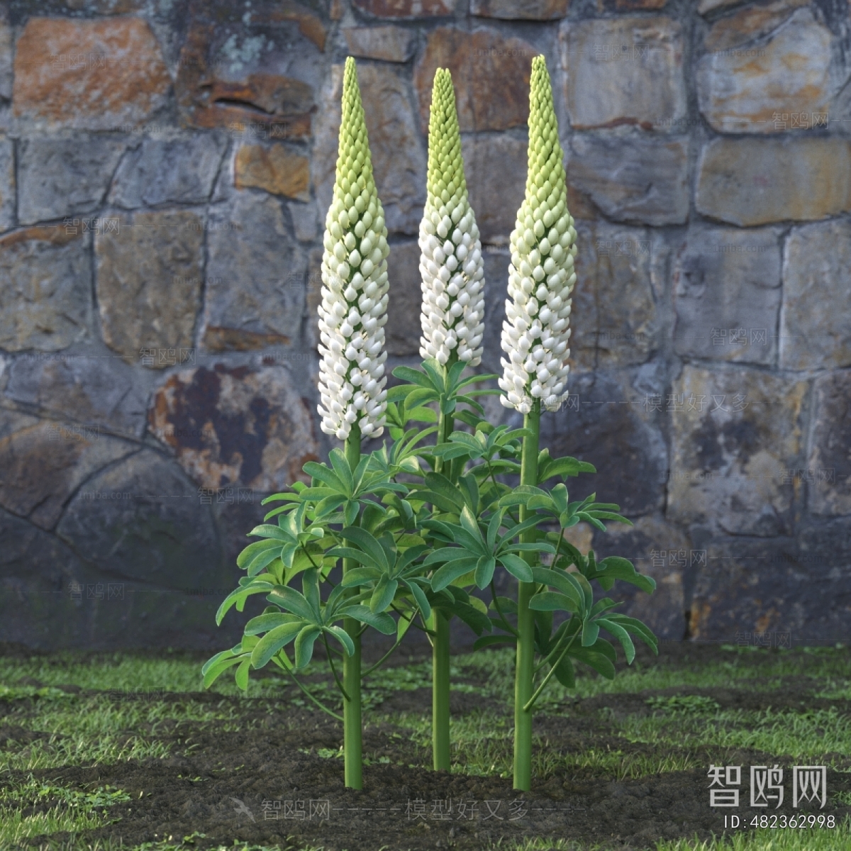 Modern Flowers And Grass