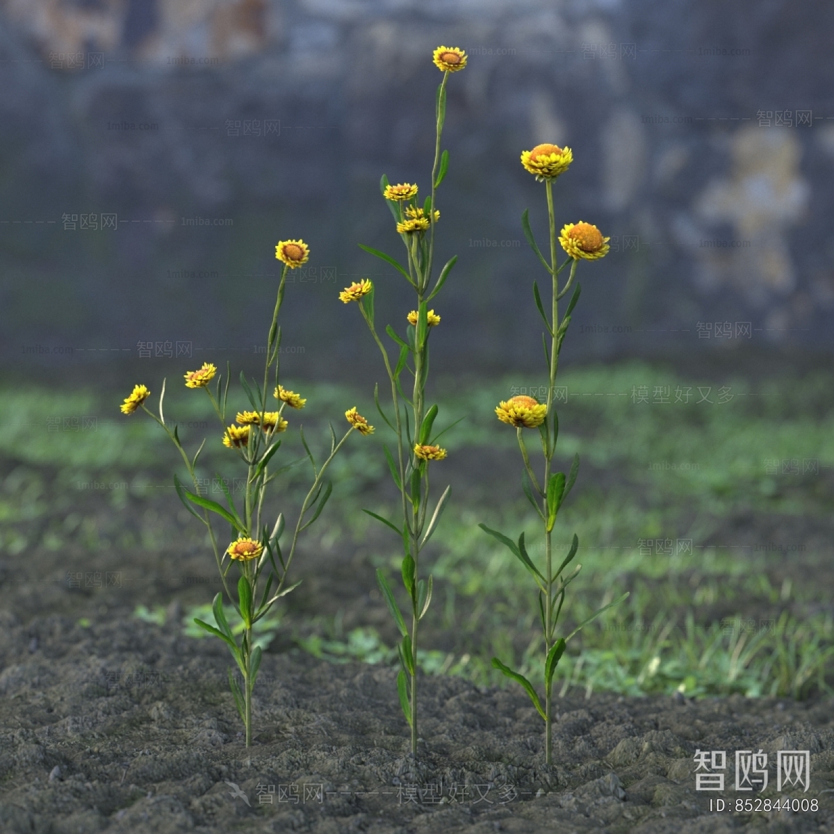 Modern Flowers And Grass