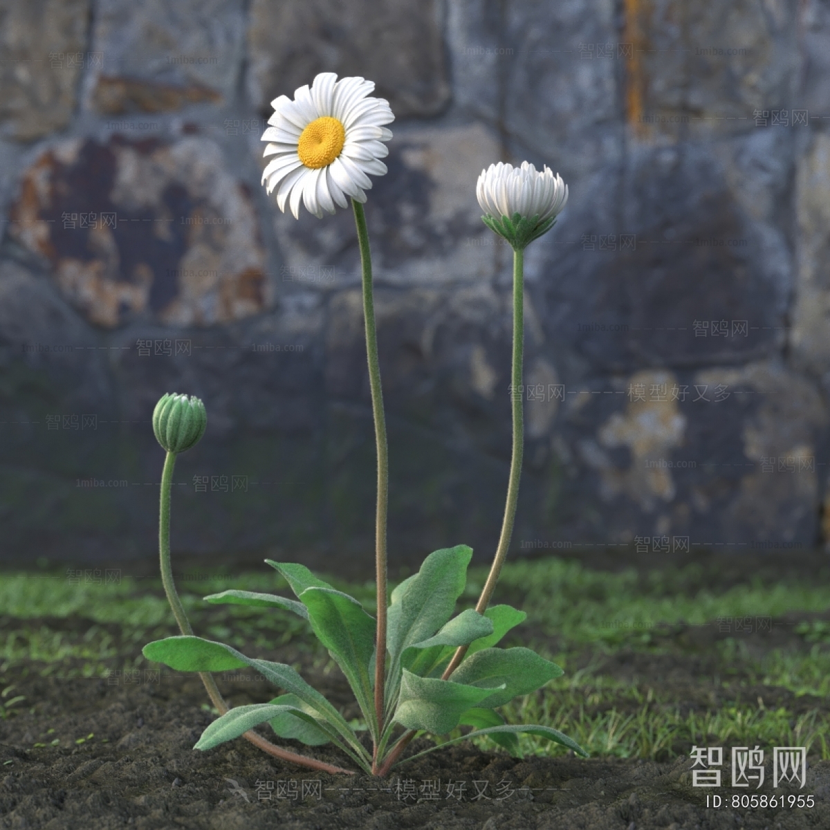 Modern Flowers And Grass