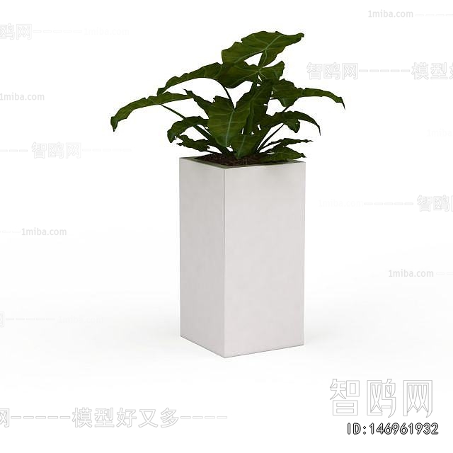 Modern Flower Bed, Flower Bowl, Flower Box