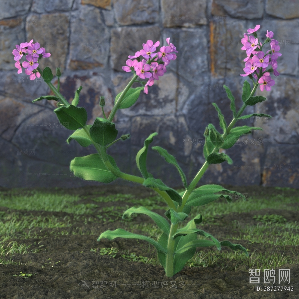 Modern Flowers And Grass