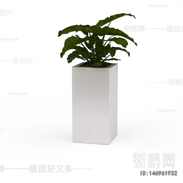 Modern Flower Bed, Flower Bowl, Flower Box