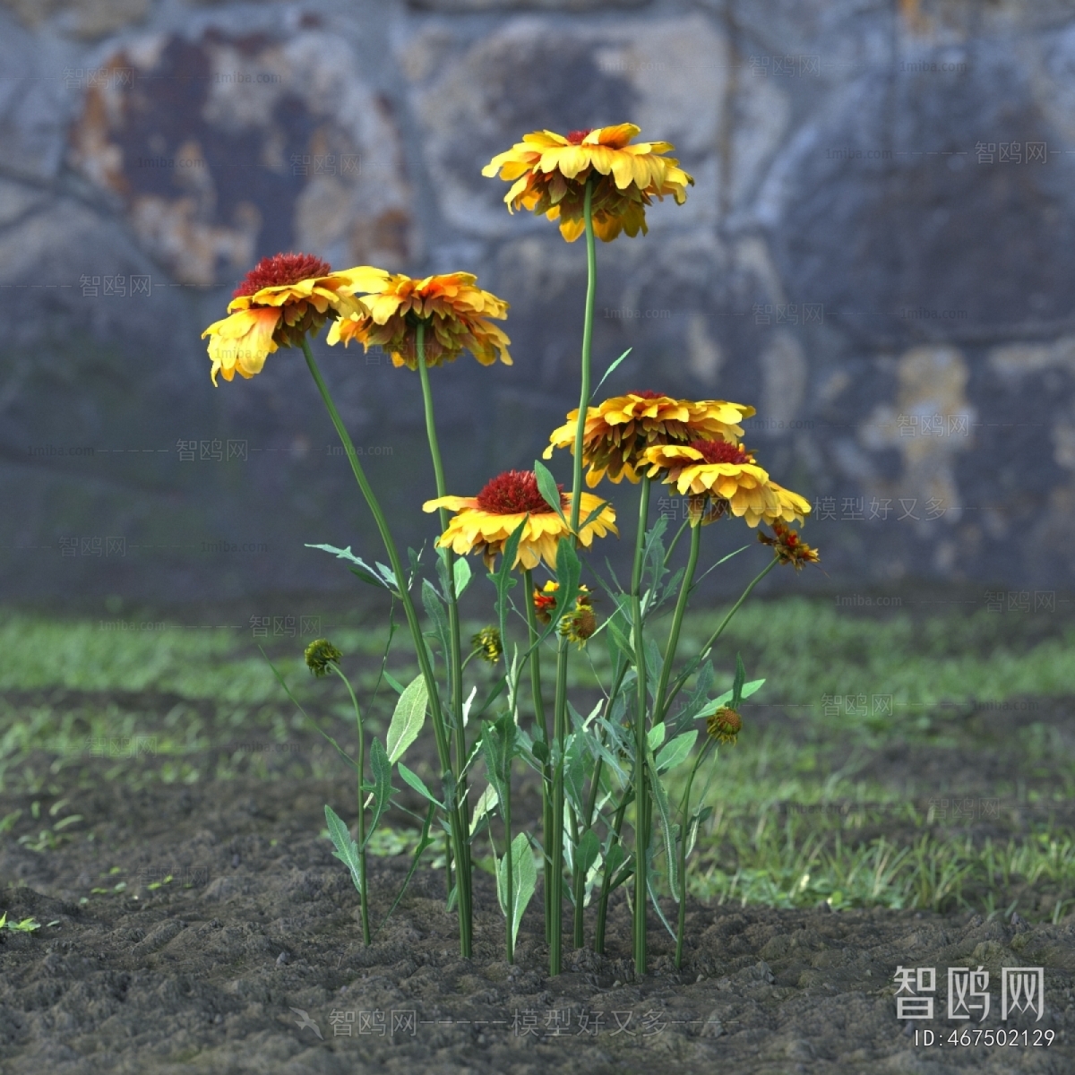 Modern Flowers And Grass