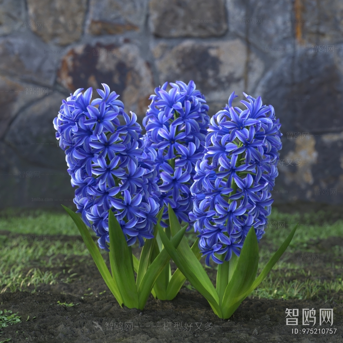 Modern Flowers And Grass