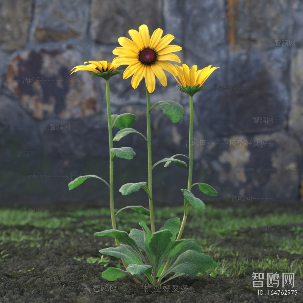 Modern Flowers And Grass