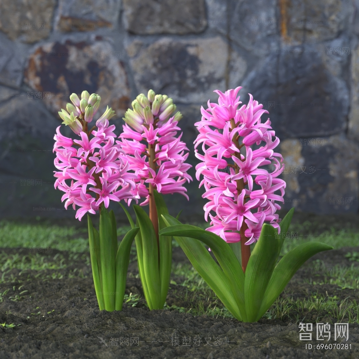 Modern Flowers And Grass