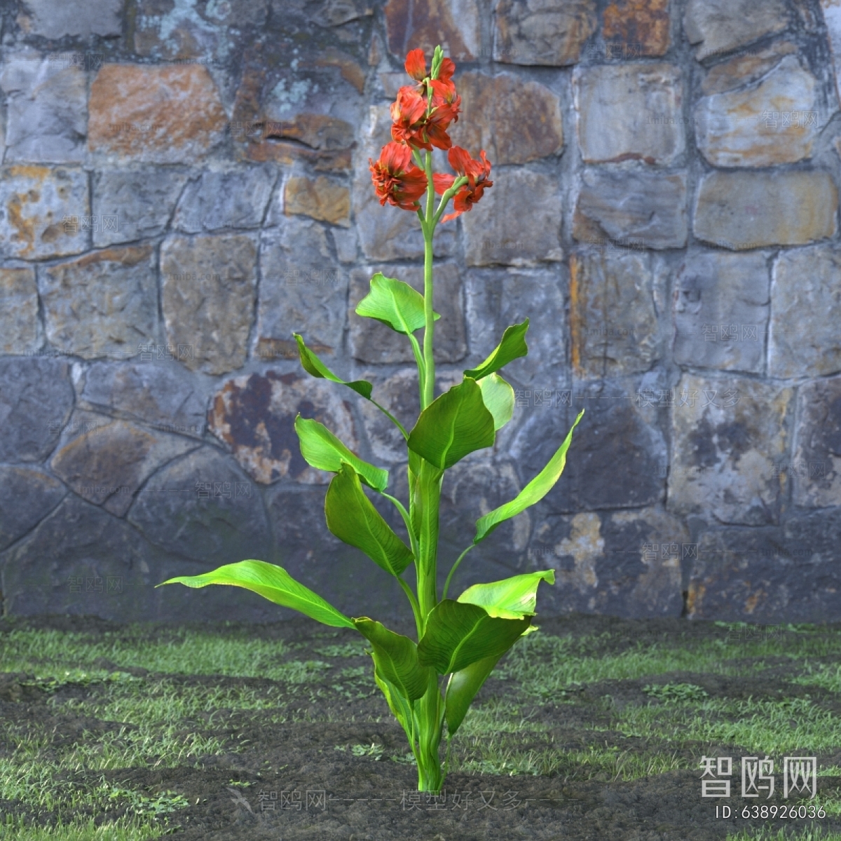 Modern Flowers And Grass