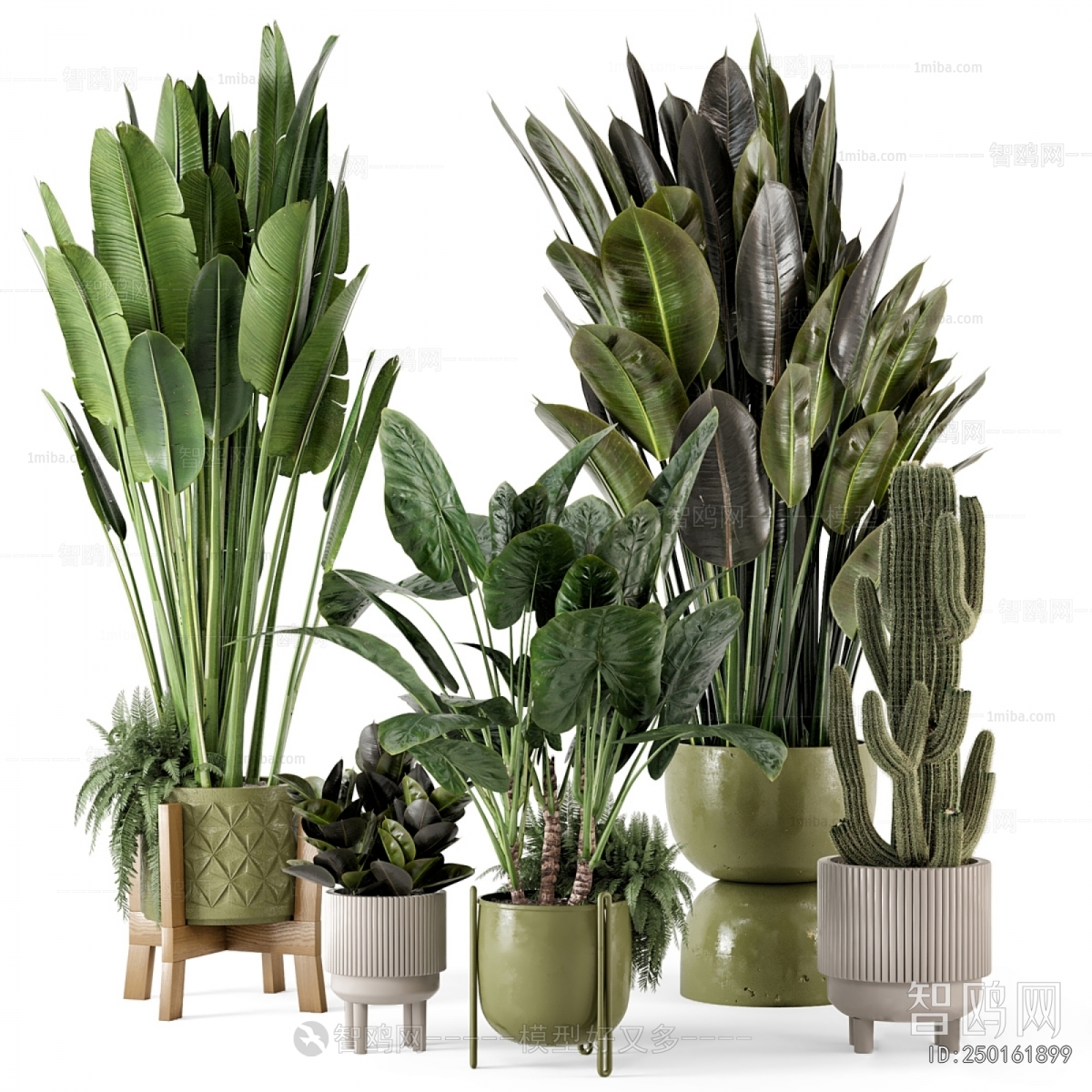Modern Ground Green Plant Potted Plants