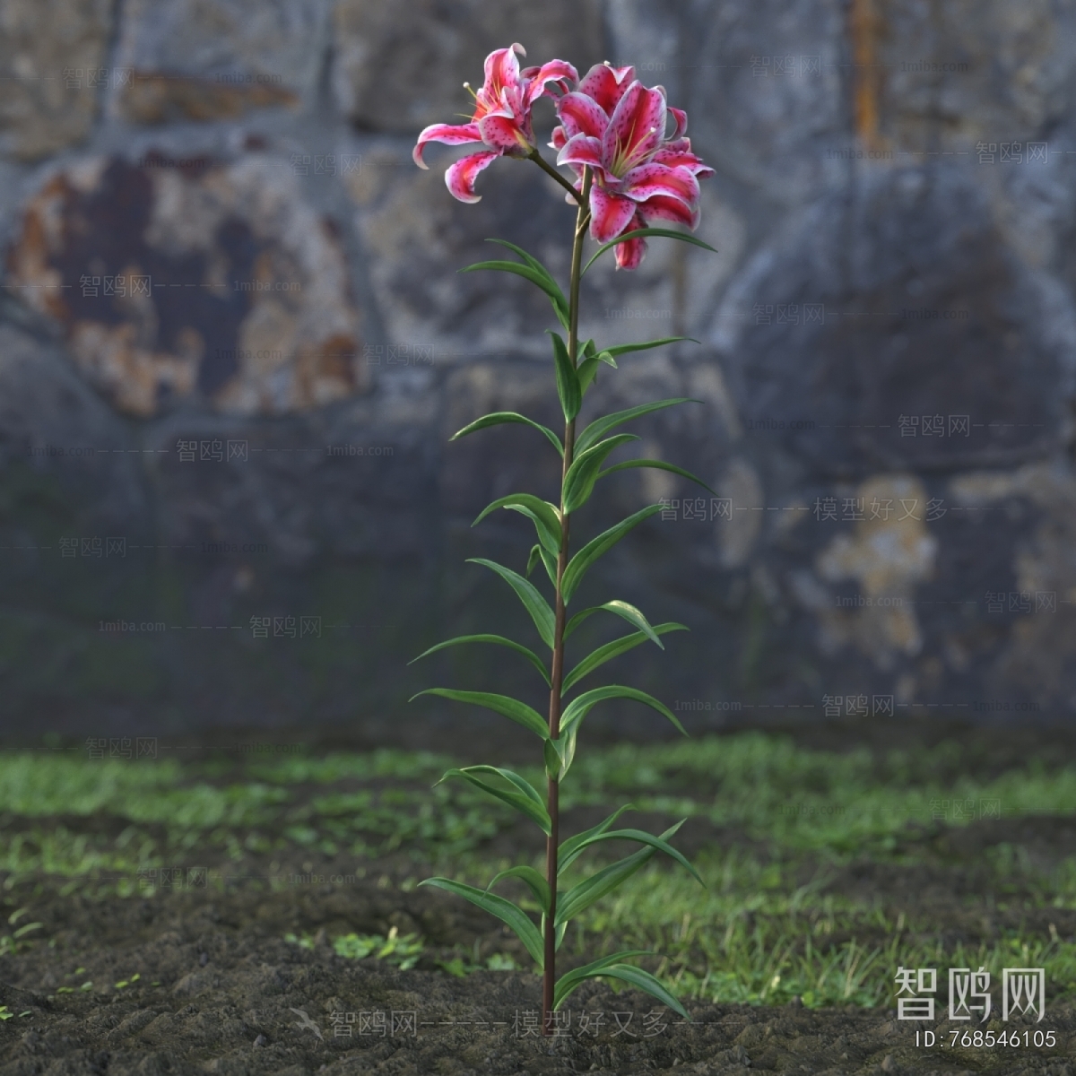 Modern Flowers And Grass