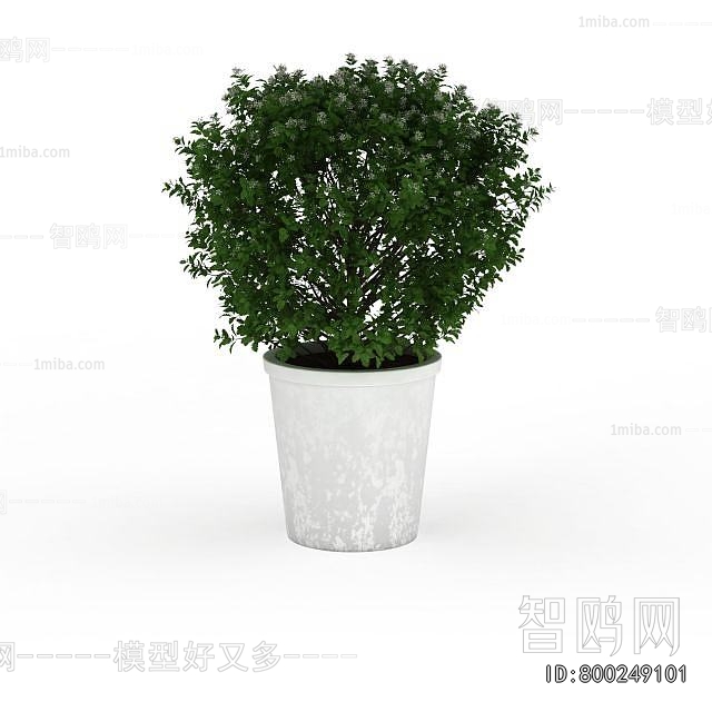Modern Potted Green Plant
