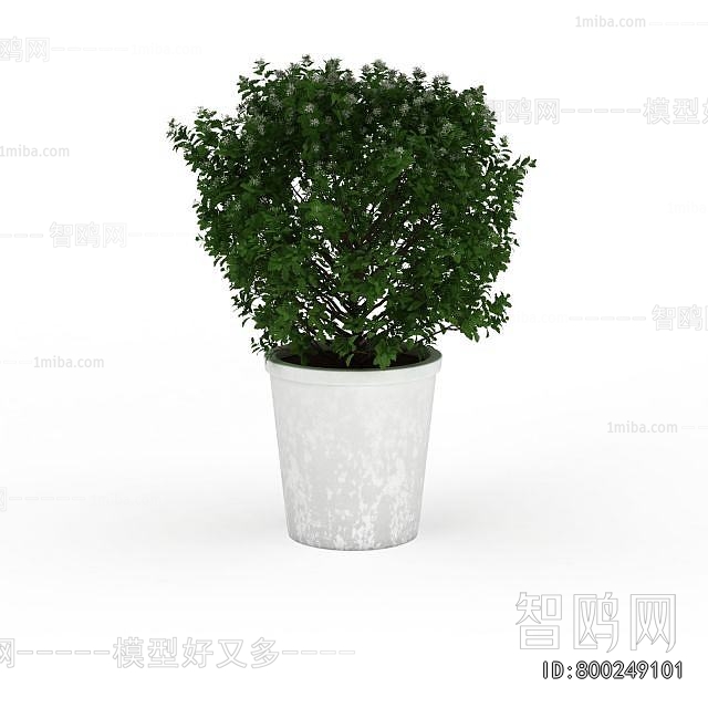 Modern Potted Green Plant