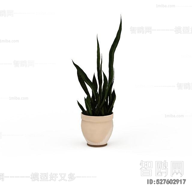 Modern Potted Green Plant