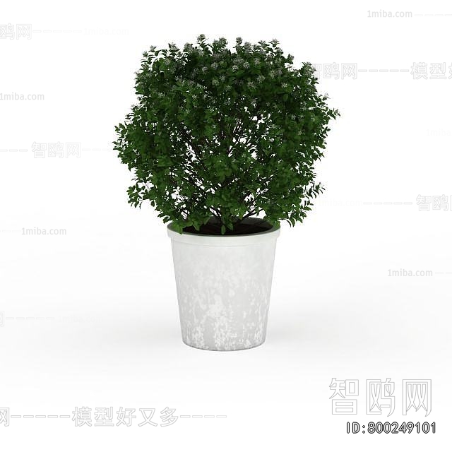 Modern Potted Green Plant