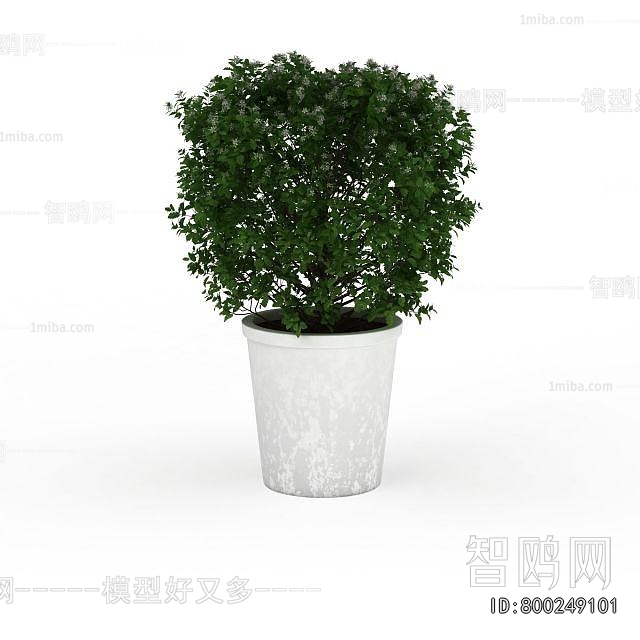 Modern Potted Green Plant