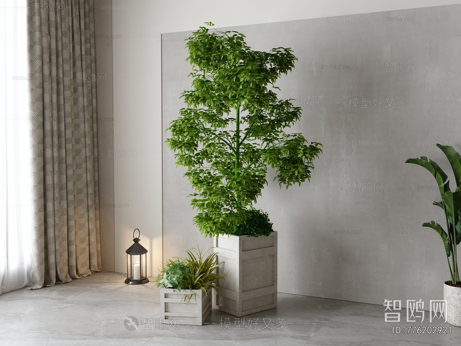 Modern Potted Green Plant