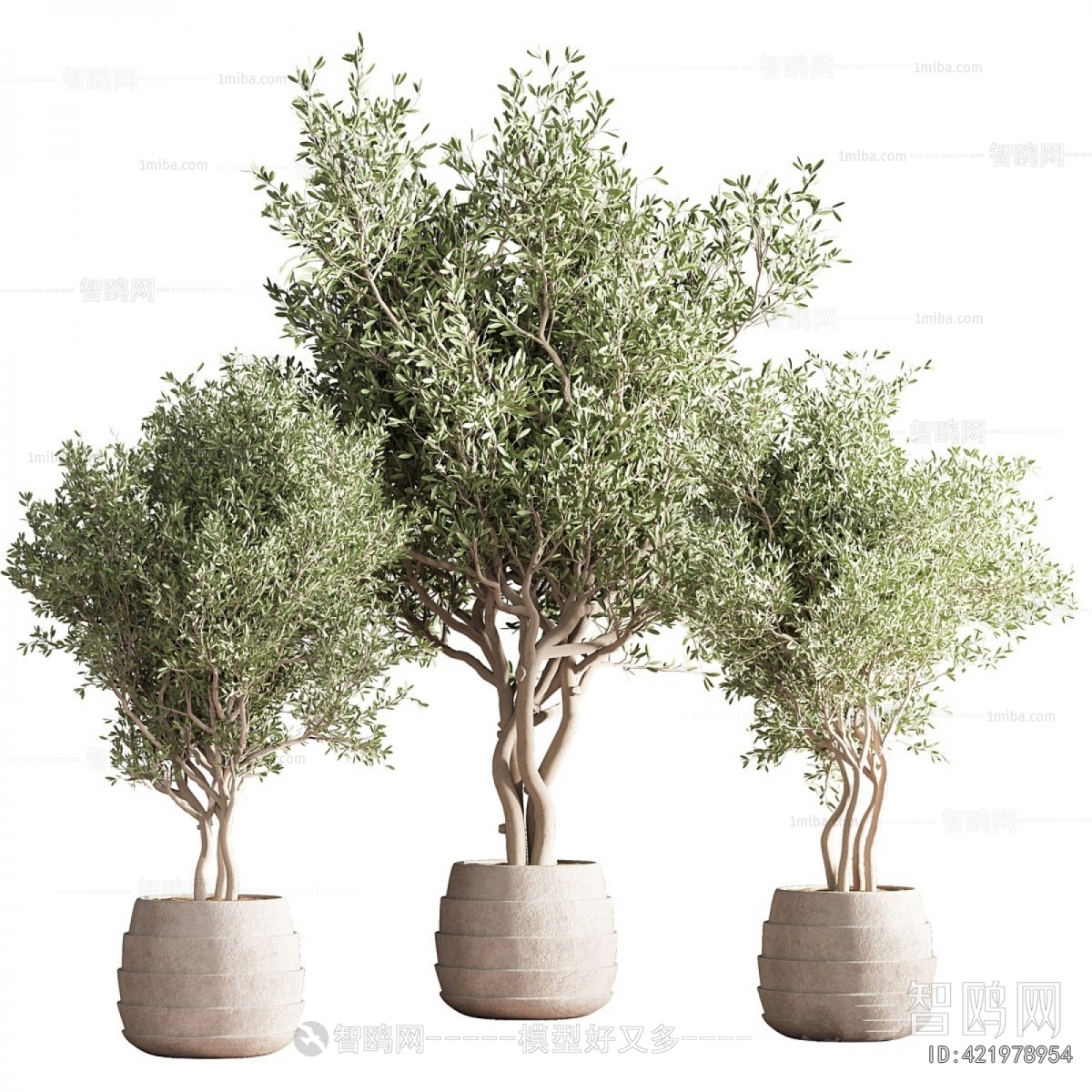 Modern Ground Green Plant Potted Plants