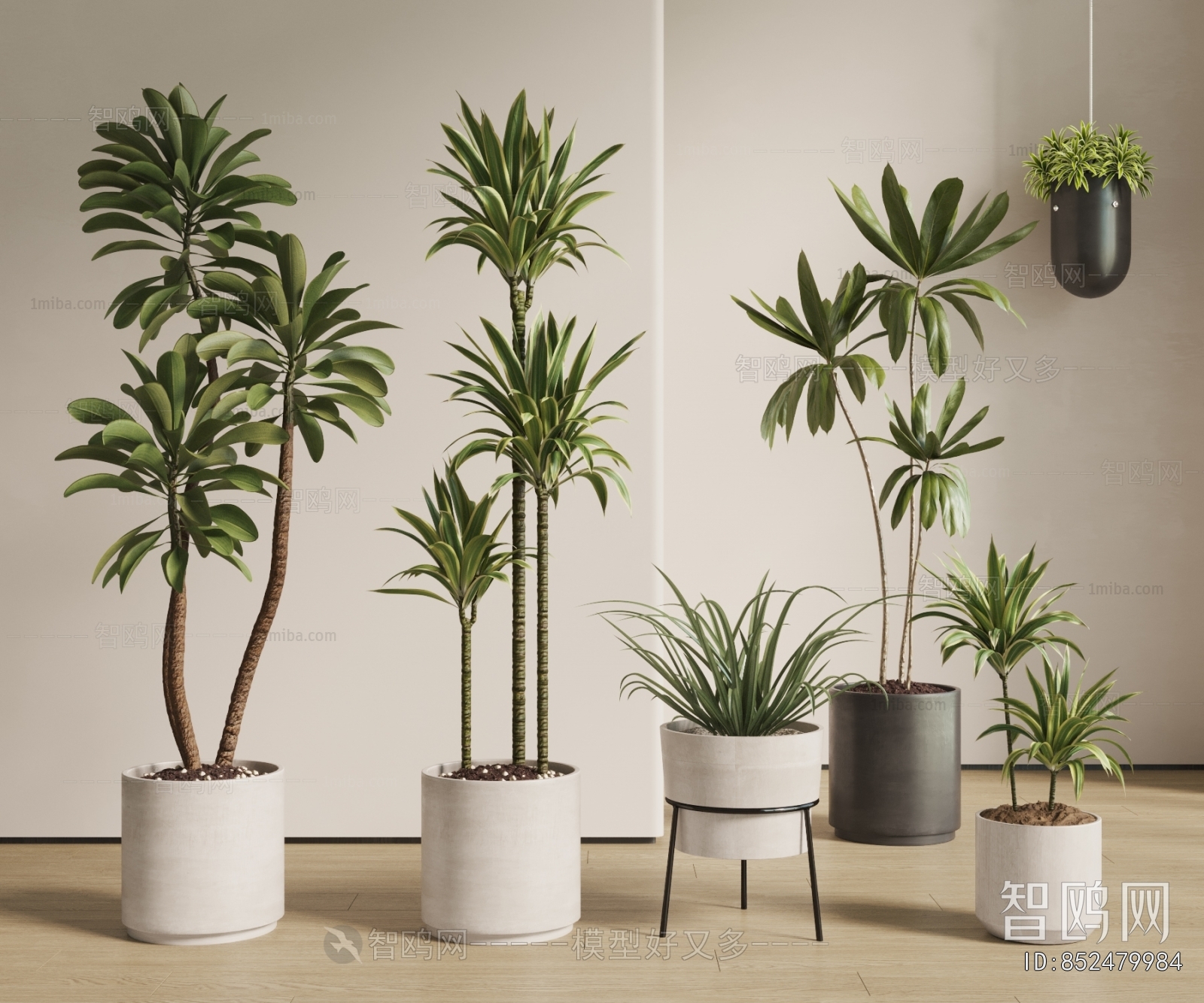Modern Ground Green Plant Potted Plants