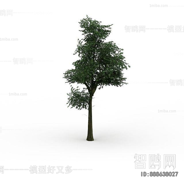 Modern Tree