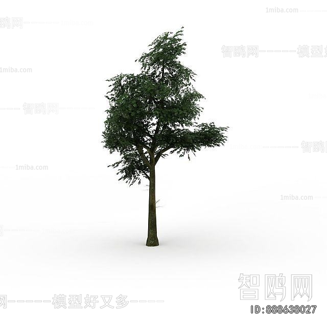 Modern Tree