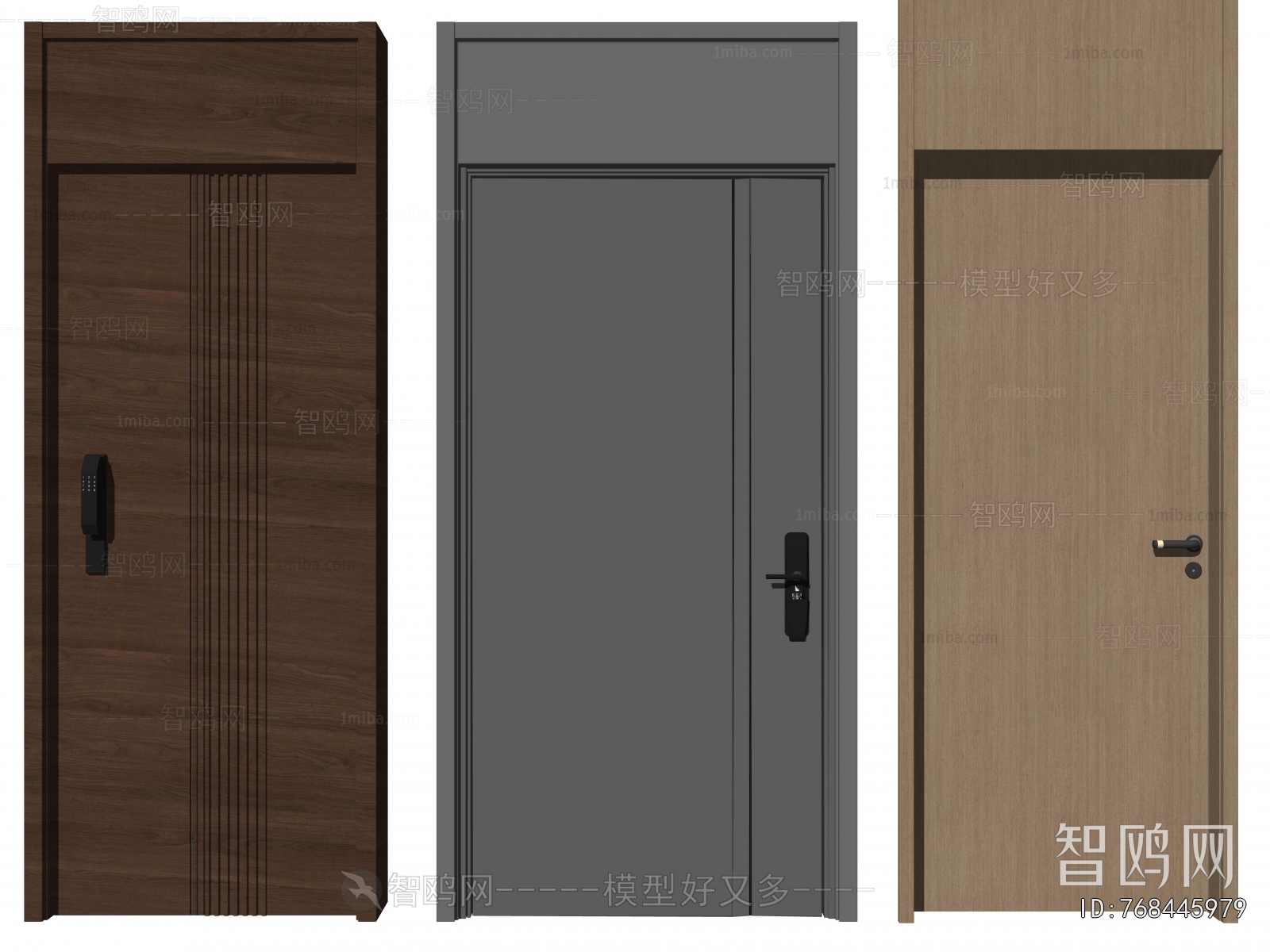 Modern Entrance Door