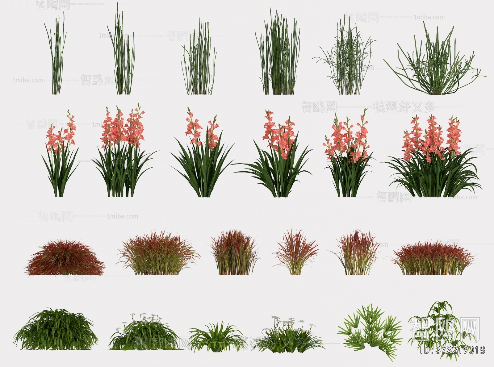 Modern Flowers And Grass