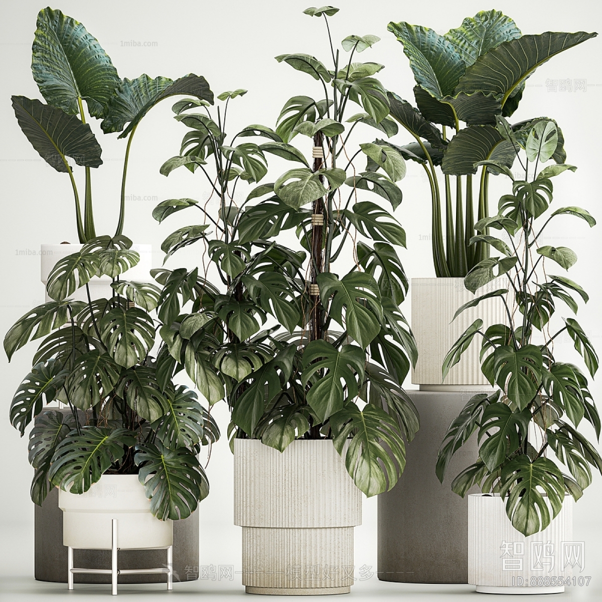 Modern Ground Green Plant Potted Plants