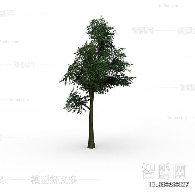 Modern Tree