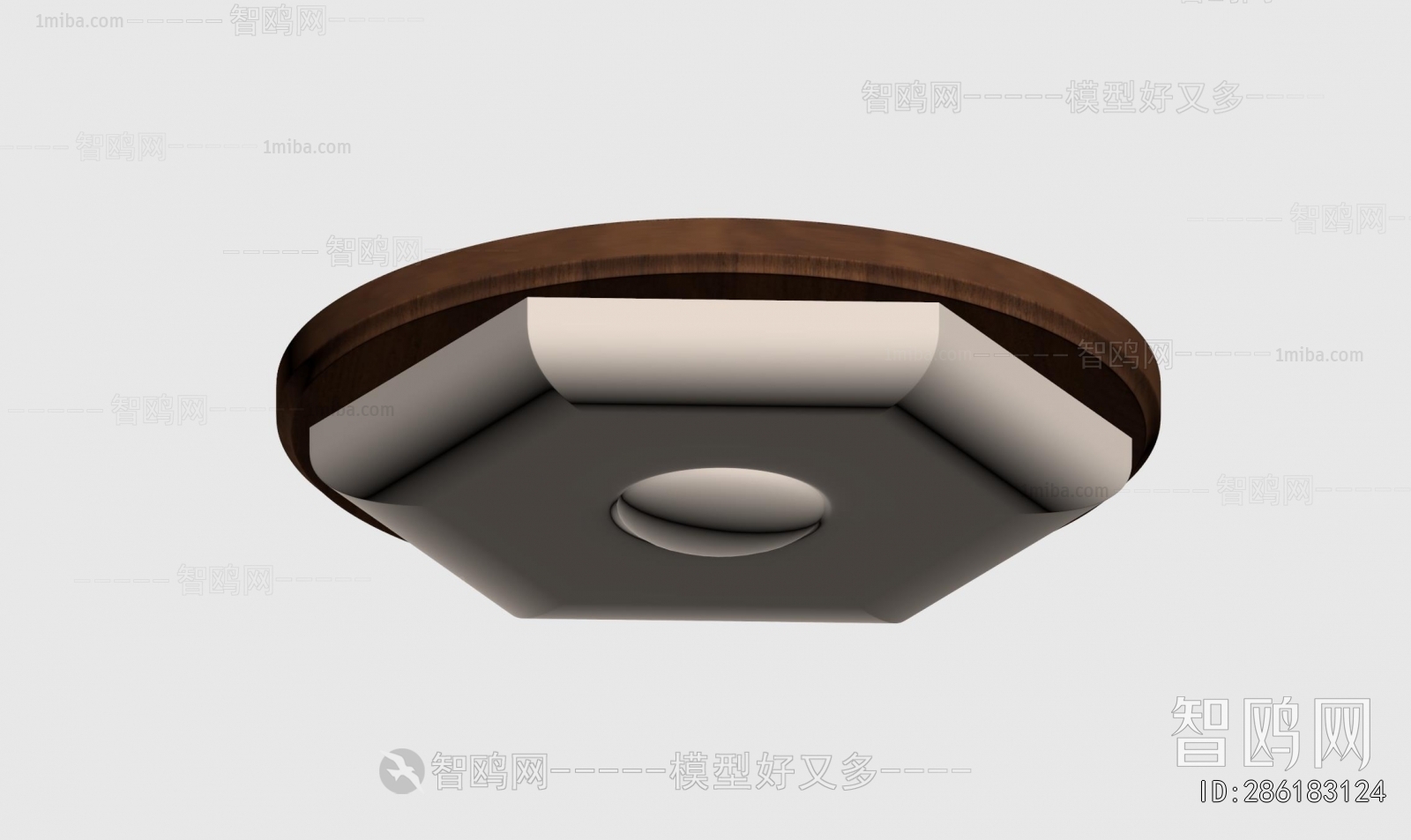 Modern Ceiling Ceiling Lamp