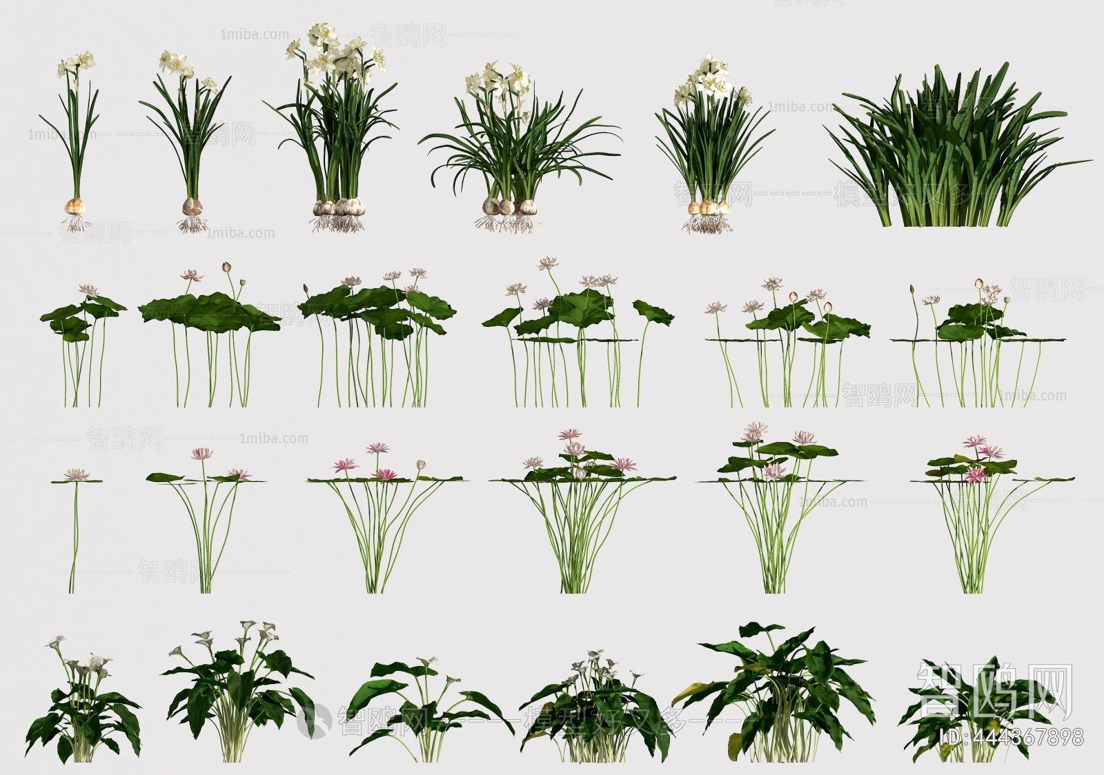 Modern Flowers And Grass