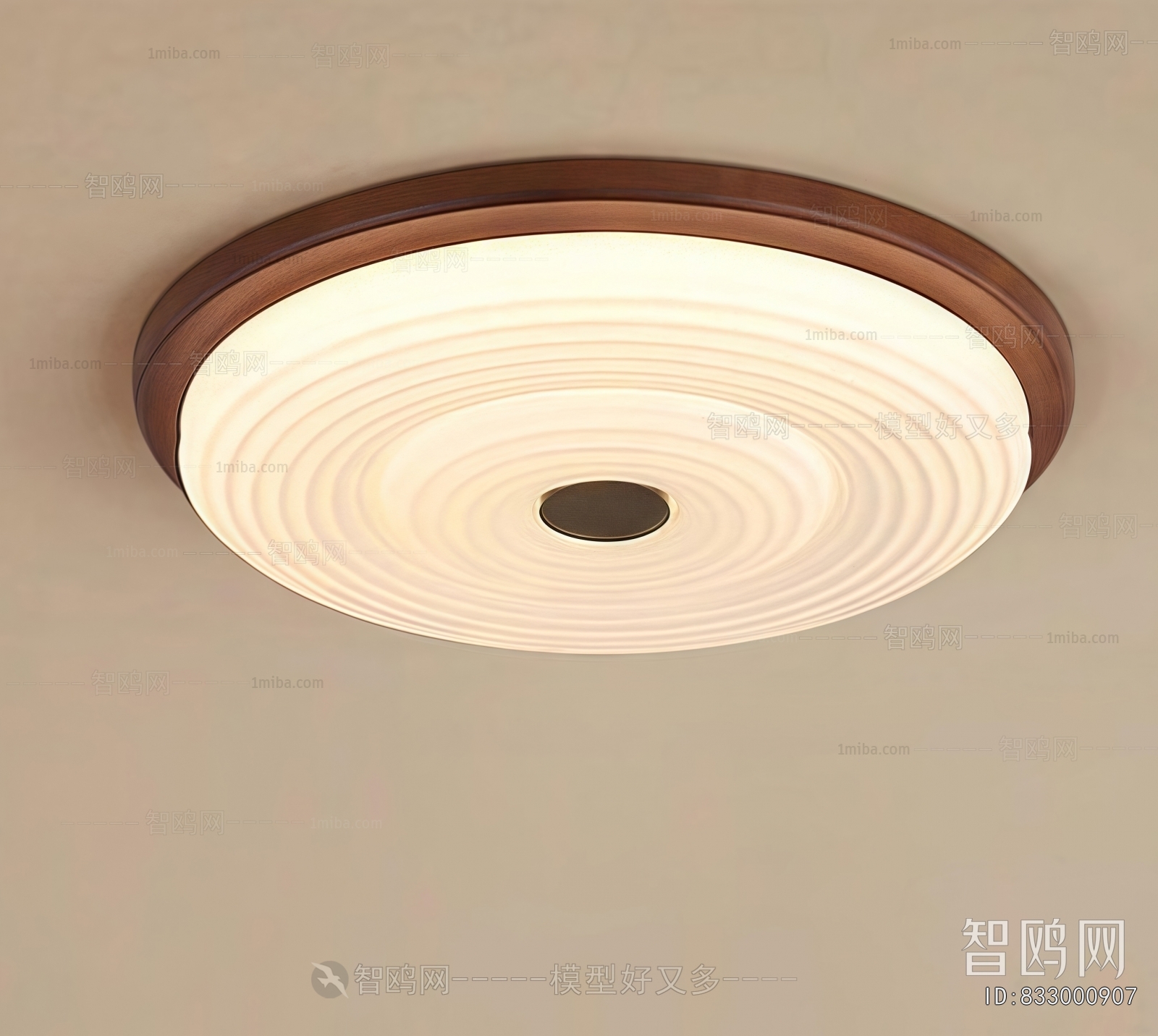 Modern Ceiling Ceiling Lamp